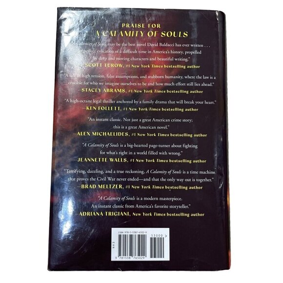 A Calamity of Souls David Baldacci Murder Thrillers Hardcover Fiction Historical - Picture 2 of 5